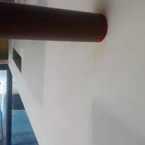 Image-1