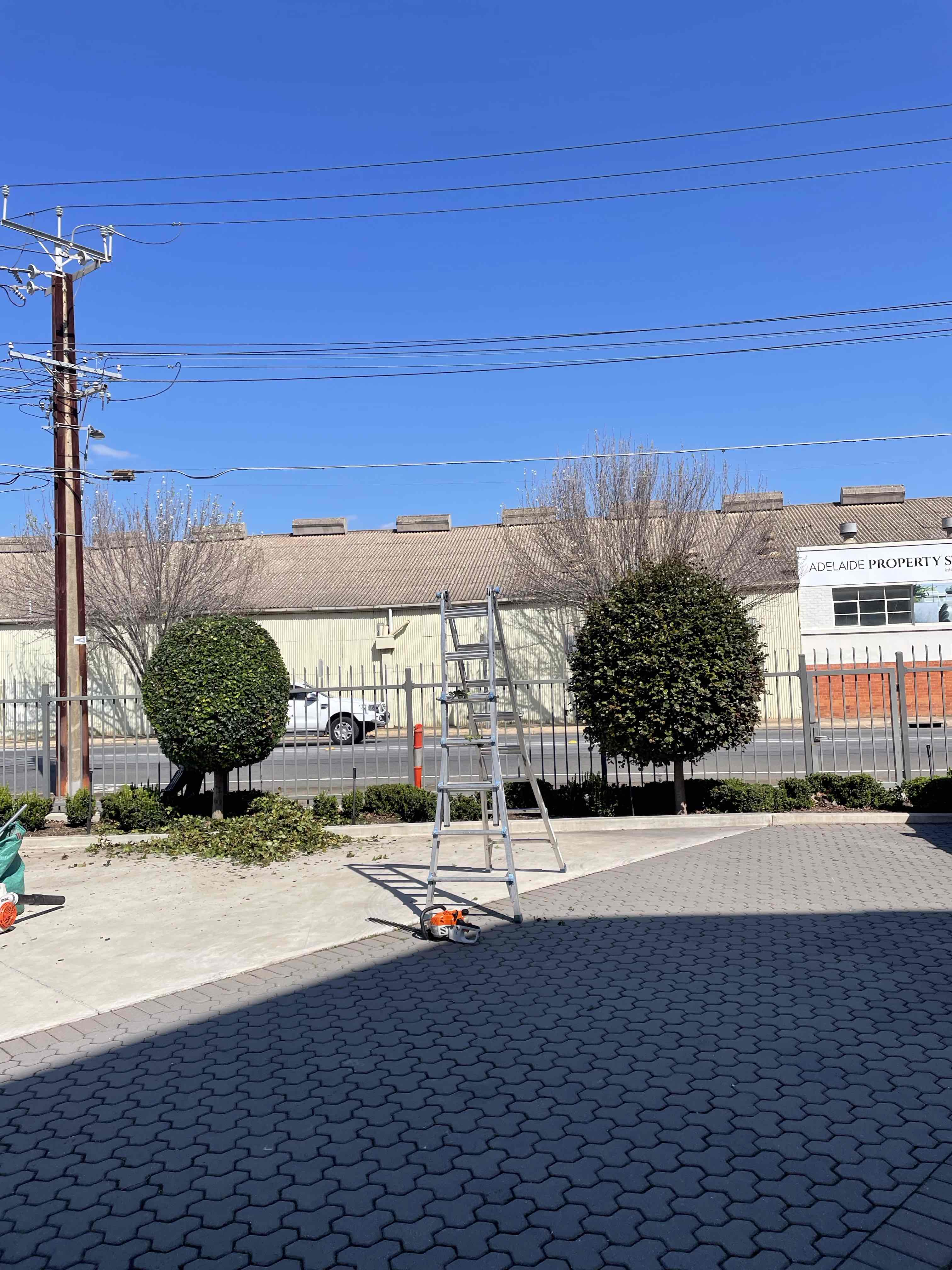 Image-6