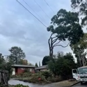 Image-1