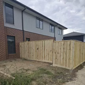 Image-2