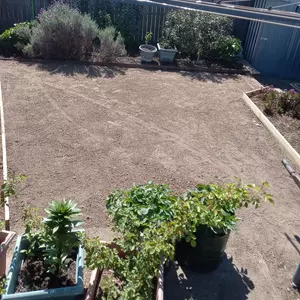 Image-4