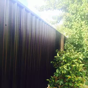 Image-2