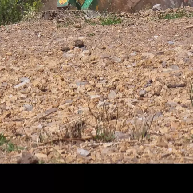 Image-1