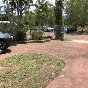 Image-1