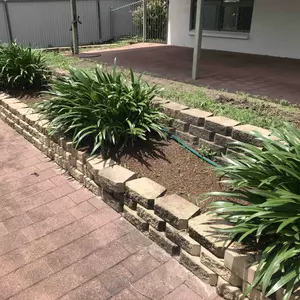 Image-2