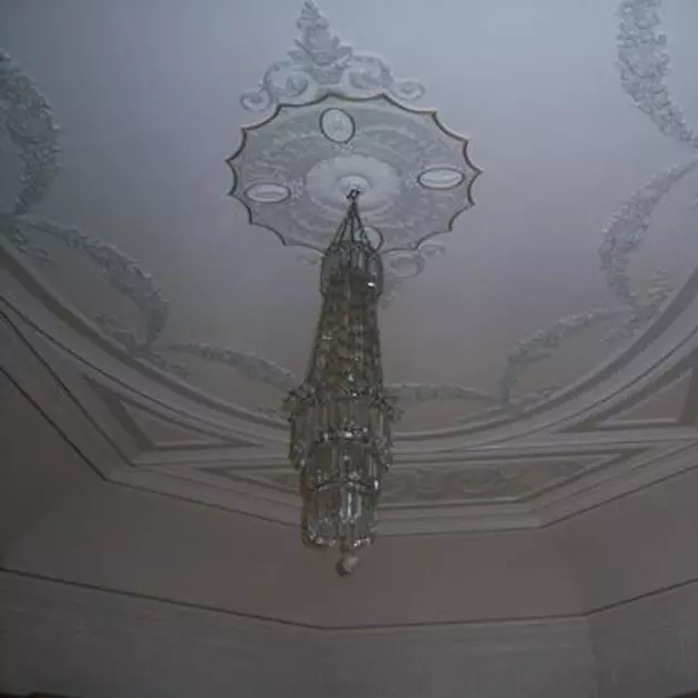 Image-3