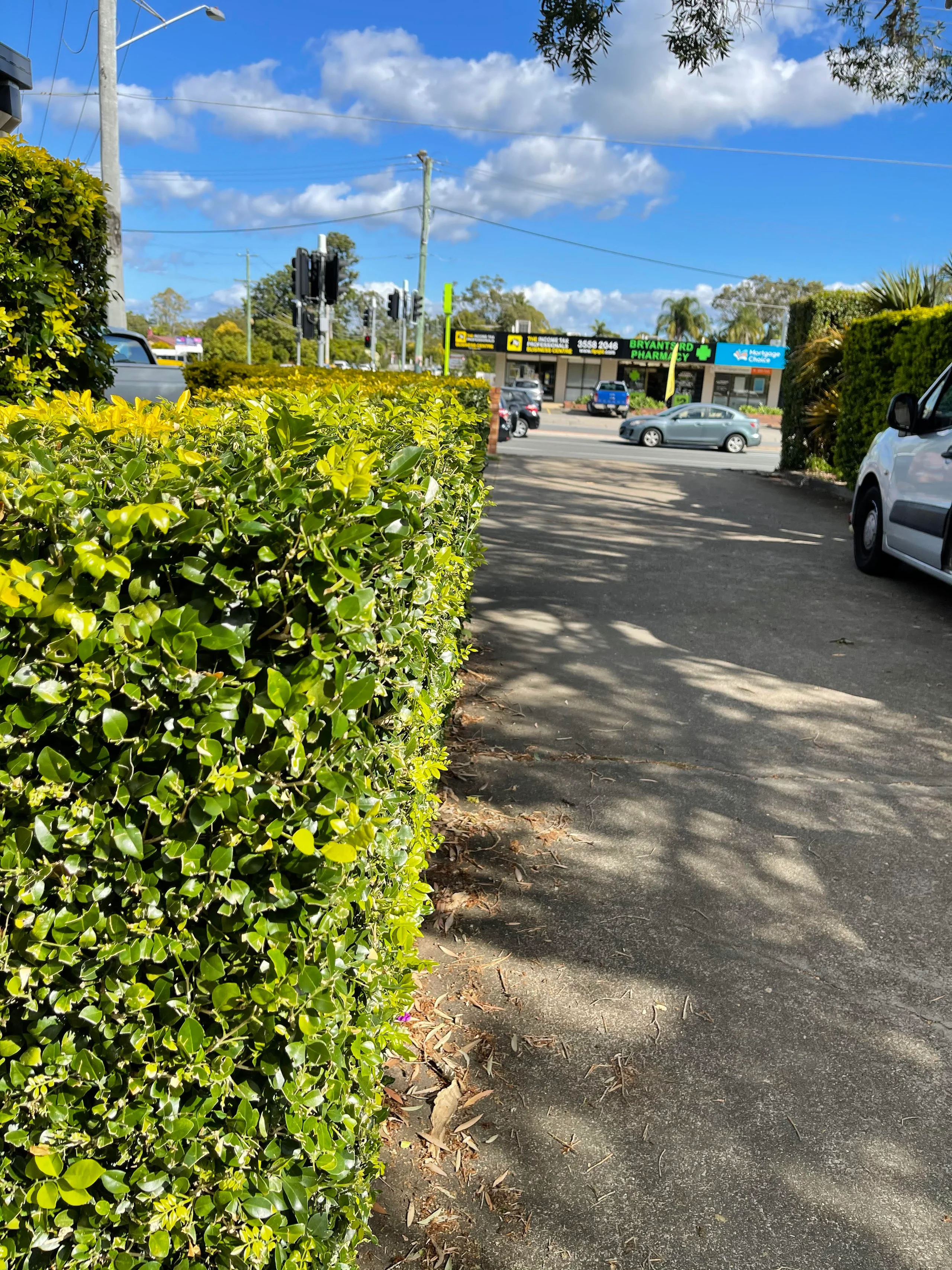 Image-1