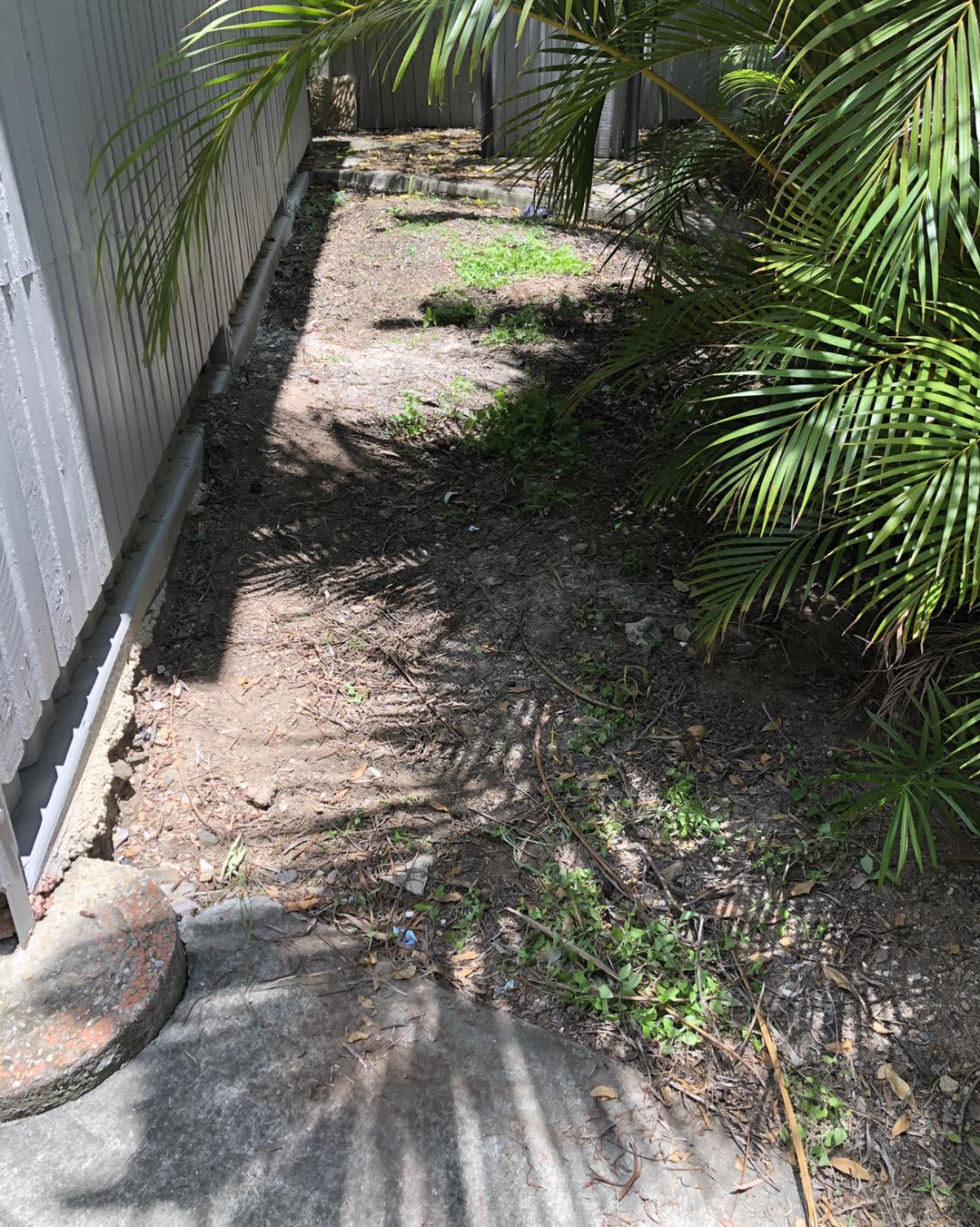 Image-14