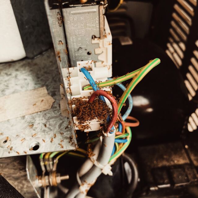 Image-2