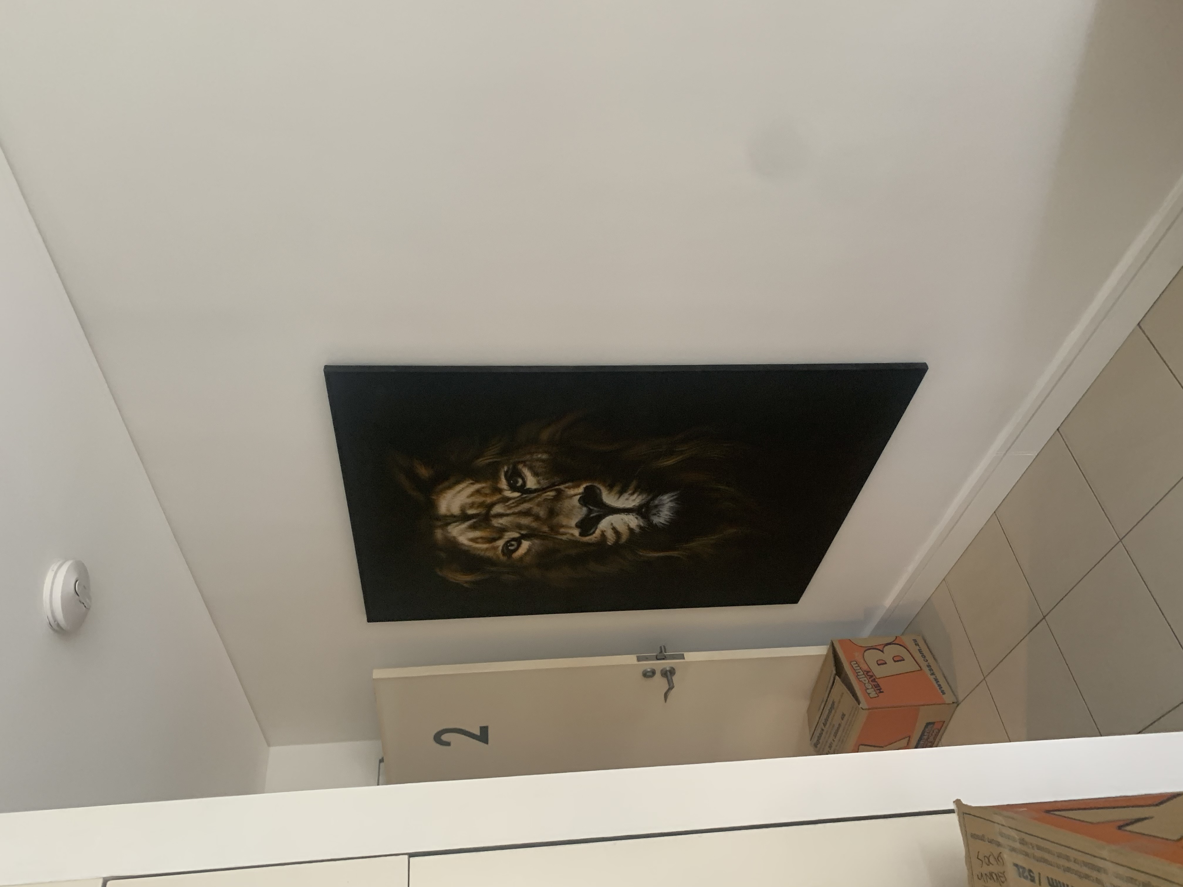 Image-6