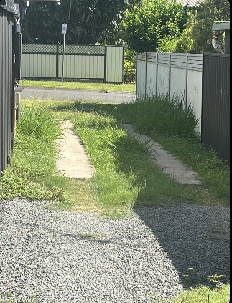 Image-5