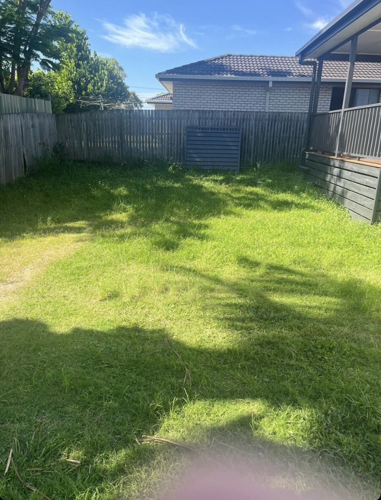 Image-4