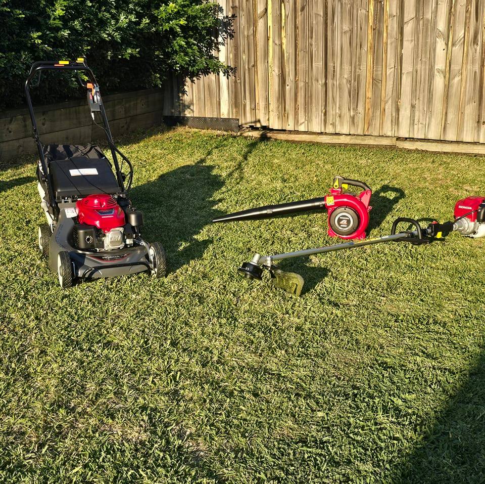 Image-1
