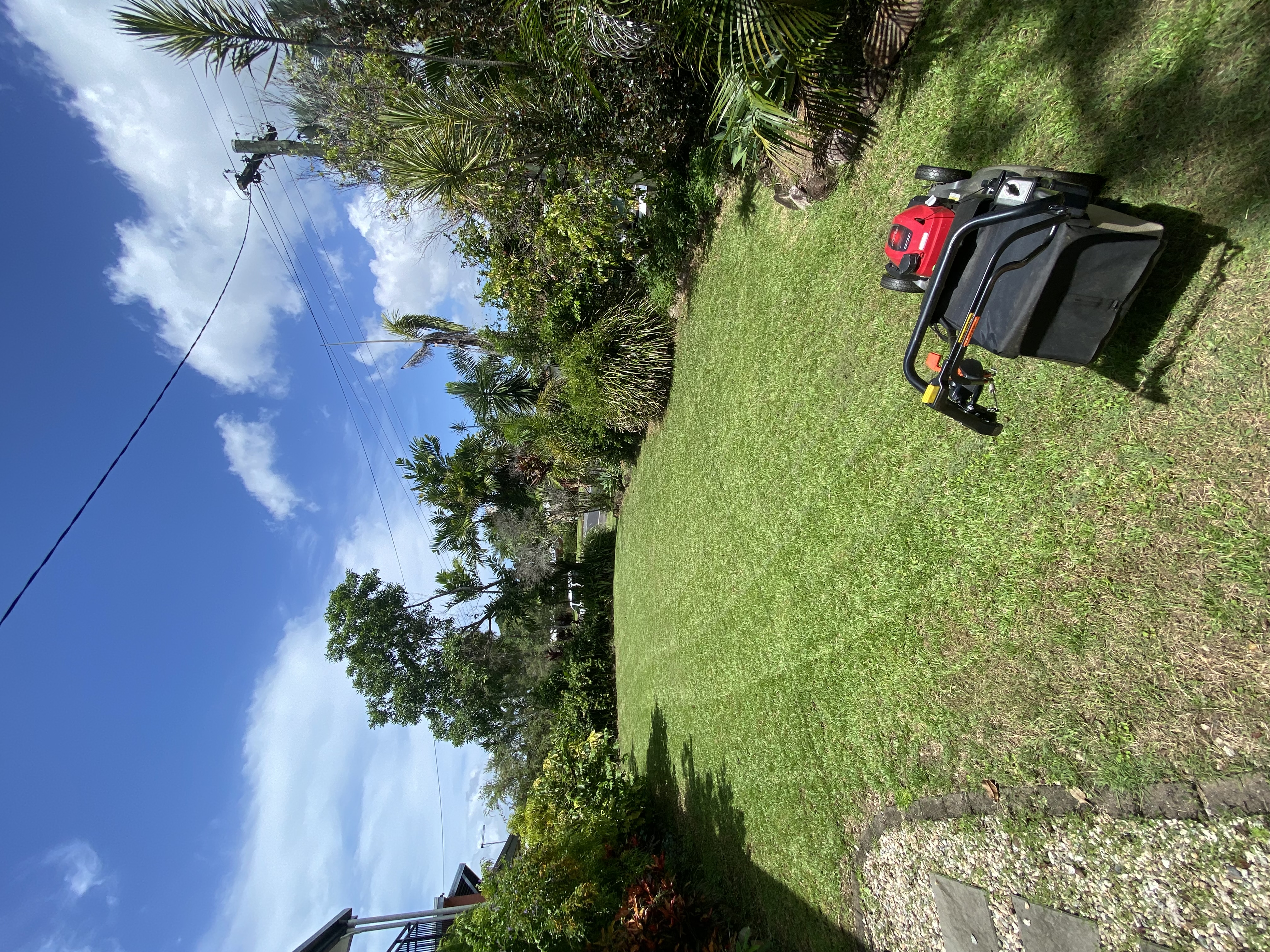 Image-2