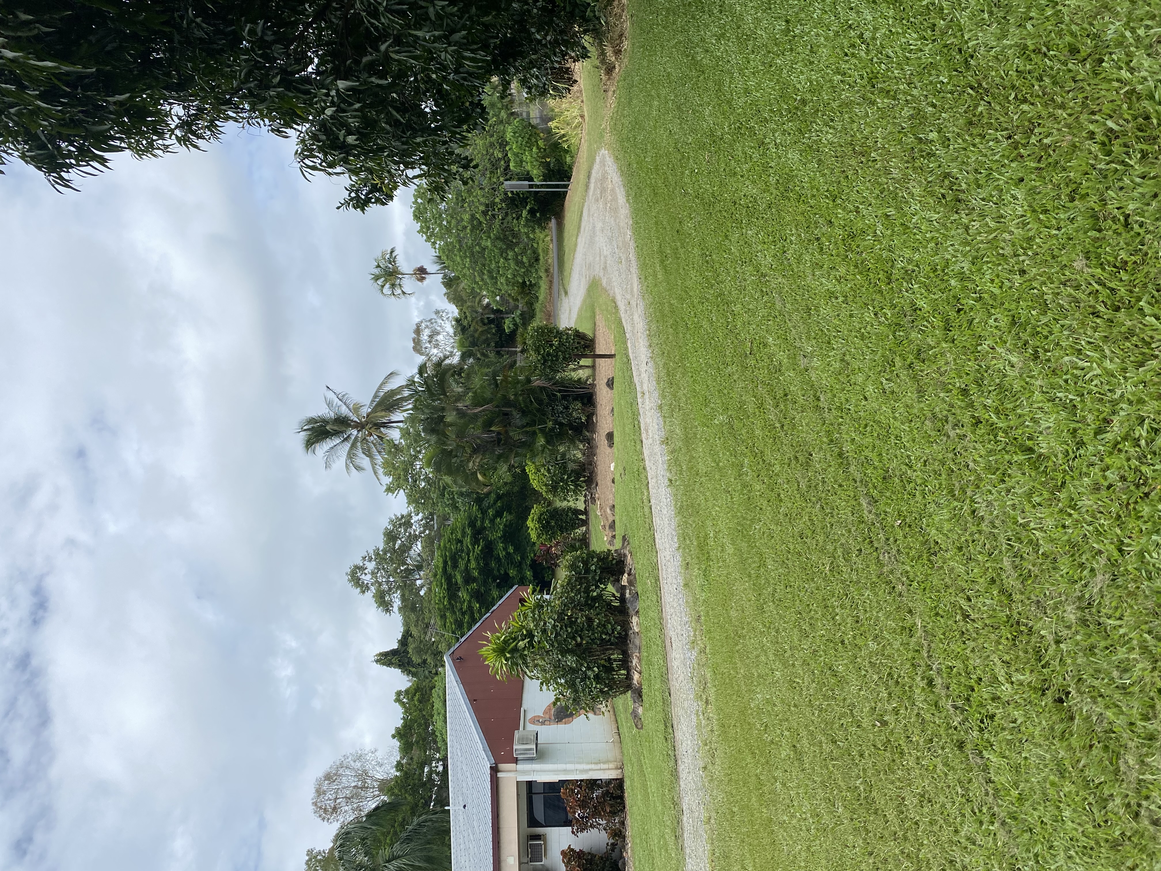 Image-3