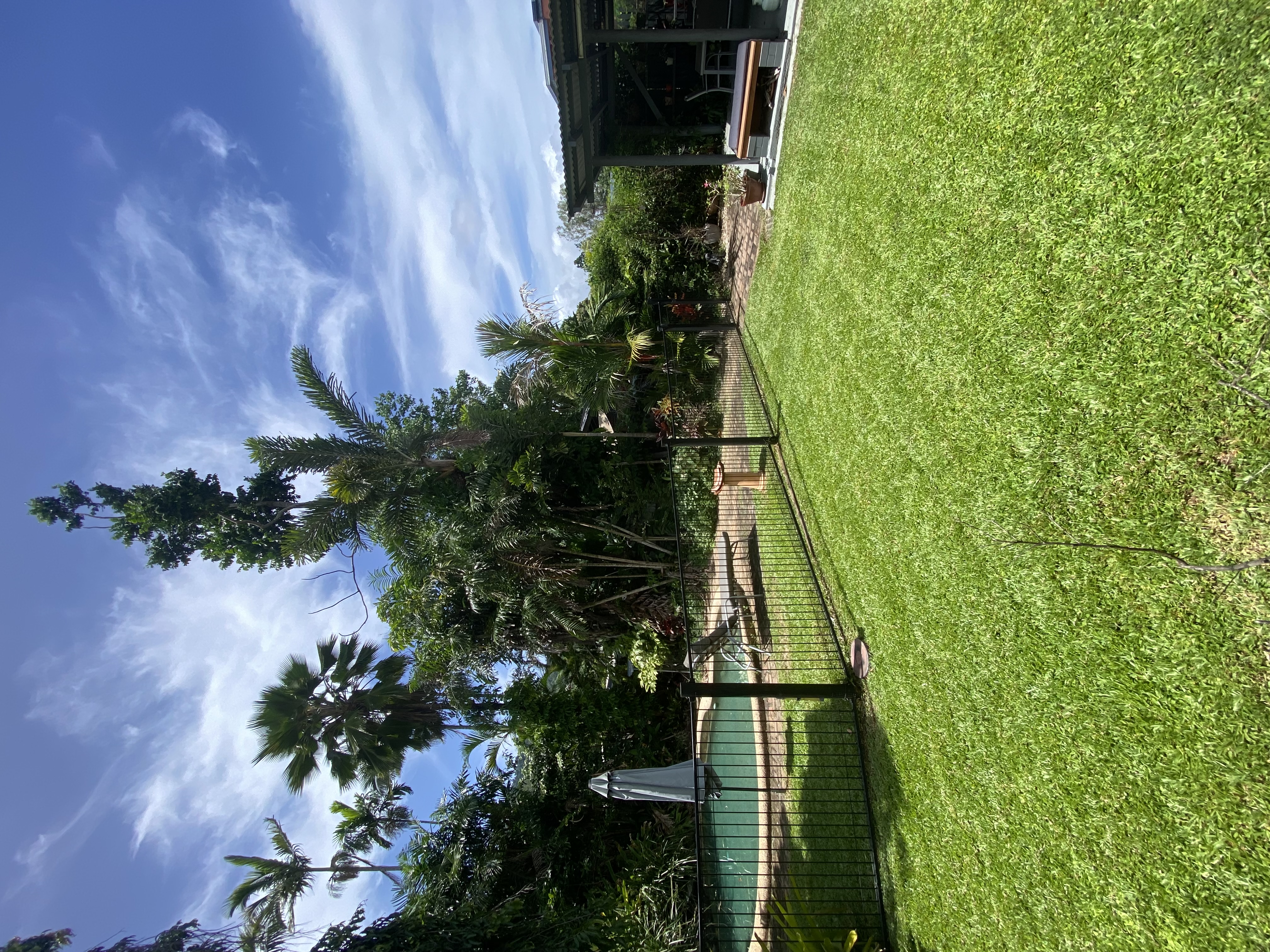 Image-1