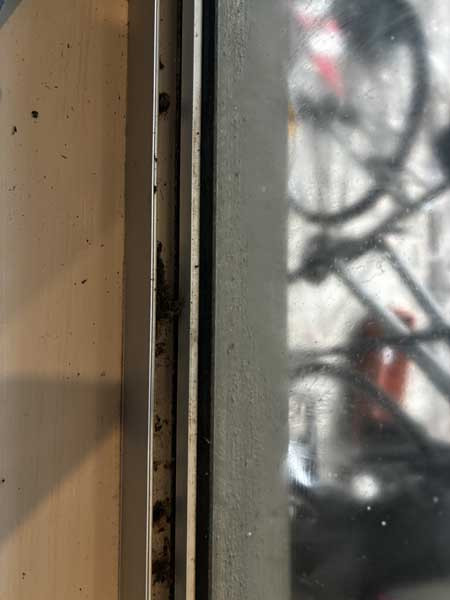 Image-8