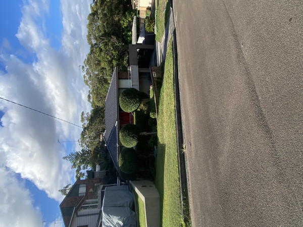 Image-4