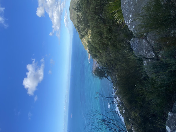 Image-1