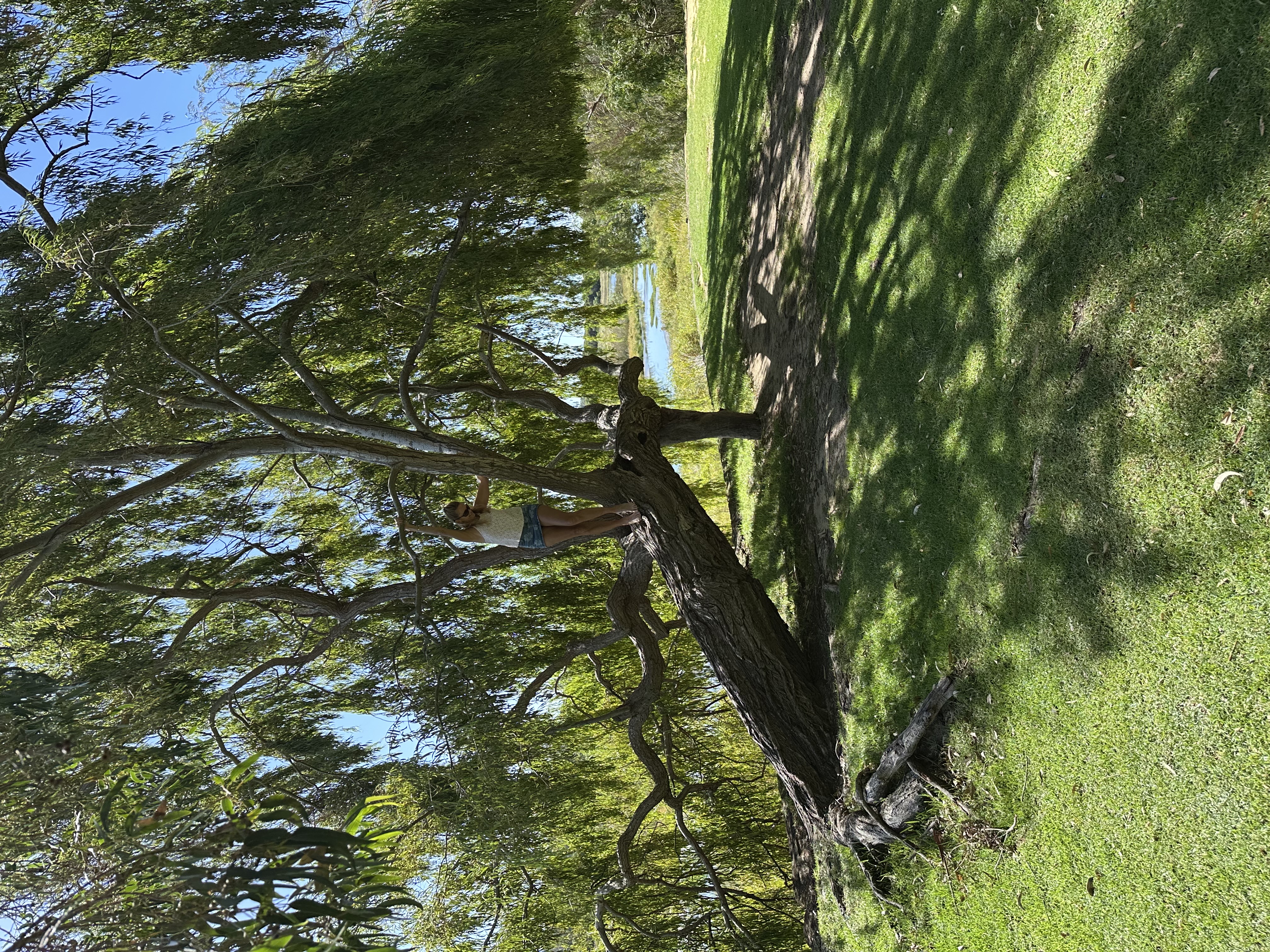 Image-2