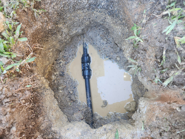 Image-5