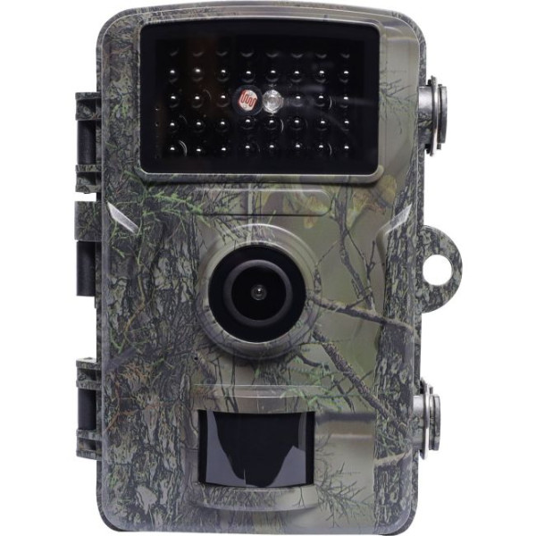 Image-2