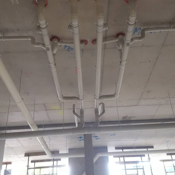Image-7