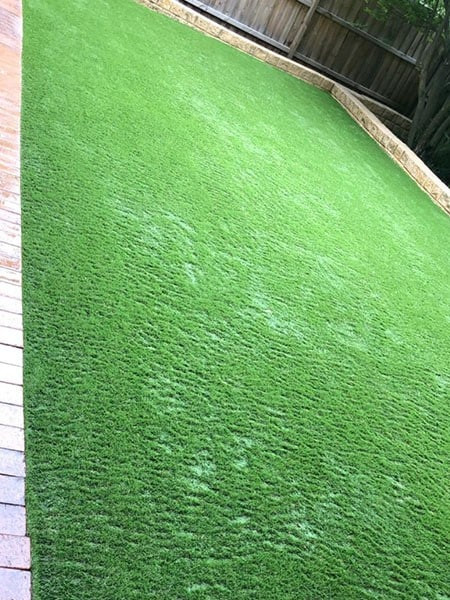Image-5