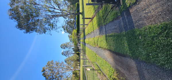 Image-4