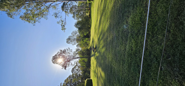 Image-1
