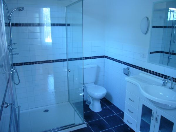 Image-4