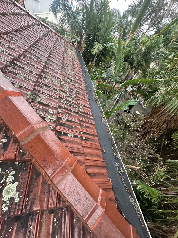 Image-6