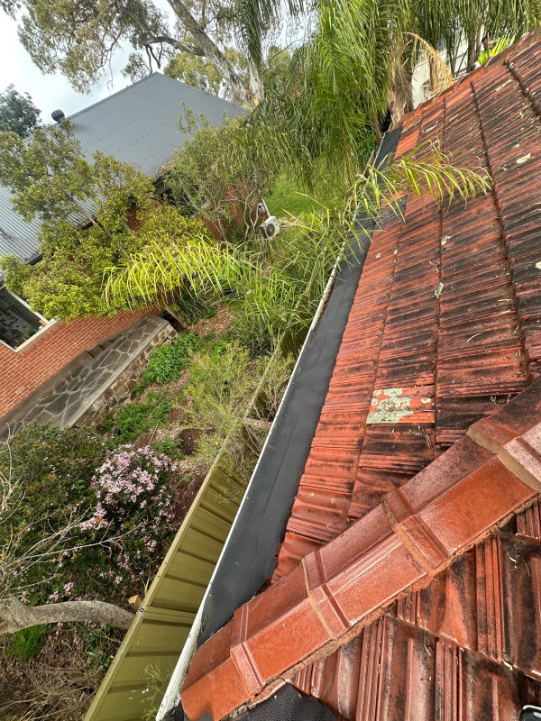 Image-3