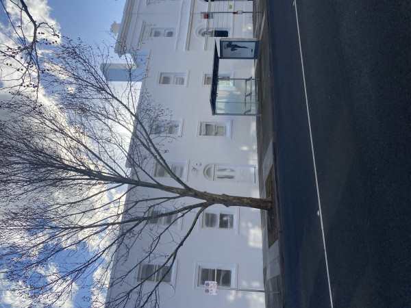 Image-6