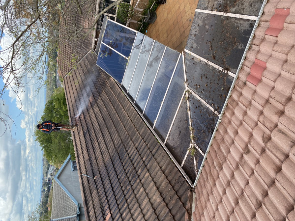 Image-3