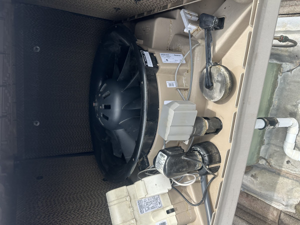 Image-10