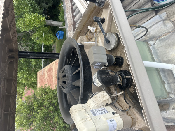 Image-11