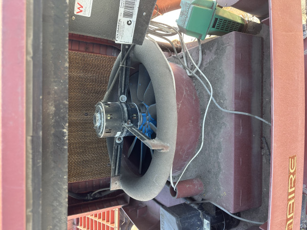 Image-7