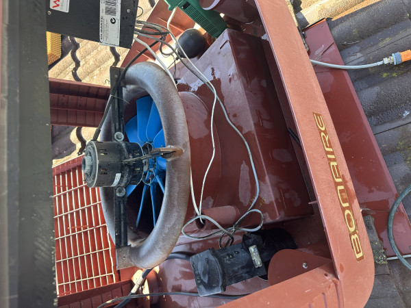 Image-6