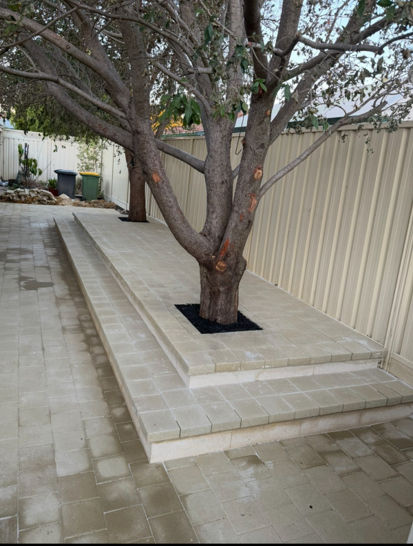 Image-4