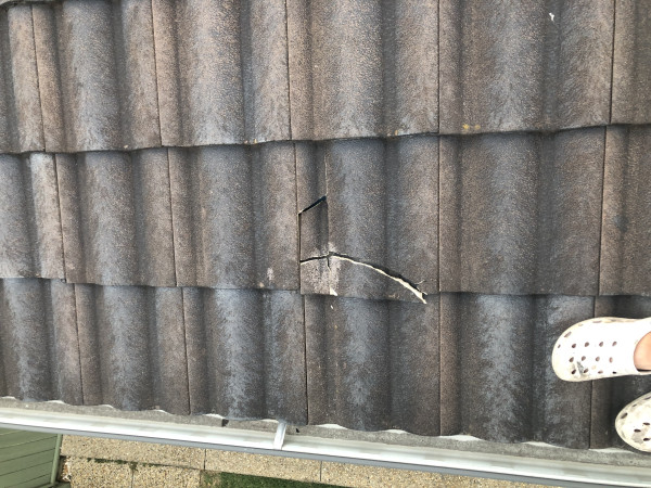 Image-10