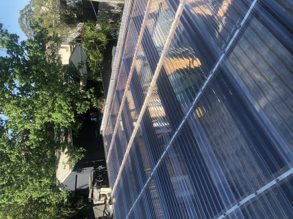 Image-9