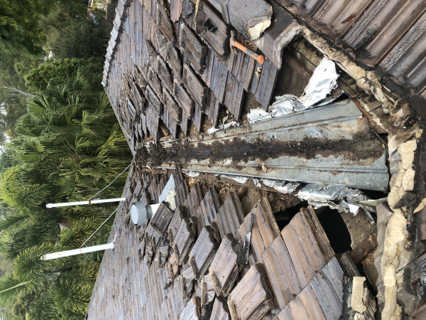 Image-5