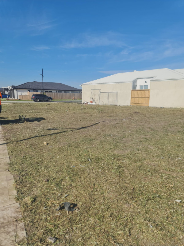 Image-4