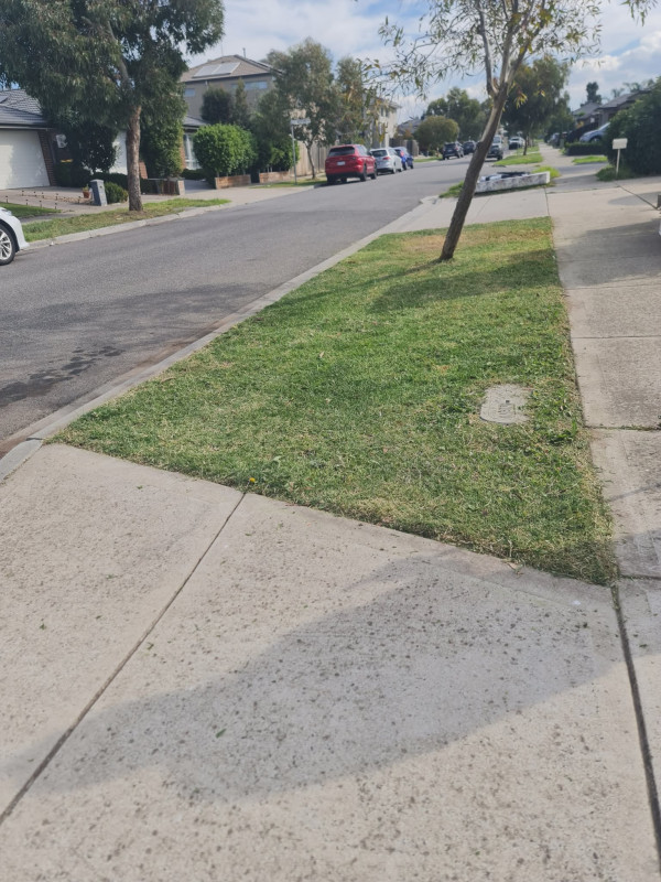 Image-5