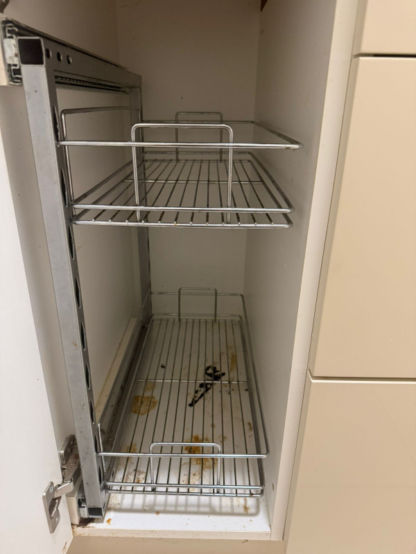 Image-6