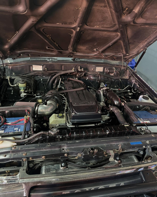 Image-3