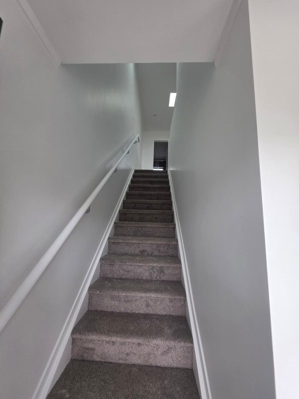 Image-7