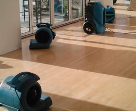 Image-12