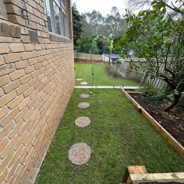 Image-3